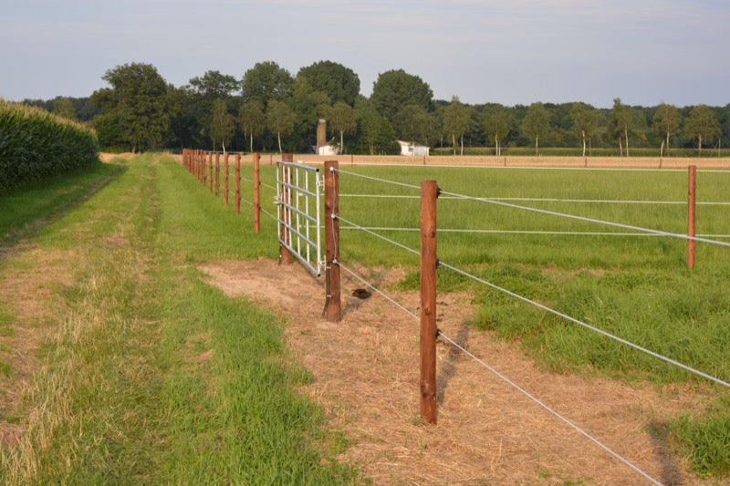 What are the Best Horse Fencing Options?